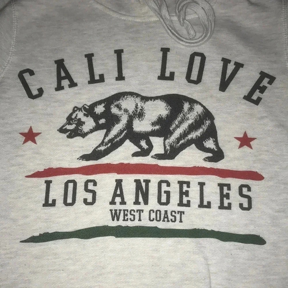 FREEZE California Los Angeles West Coast heather gray long sleeve hoodie size S - Picture 3 of 8